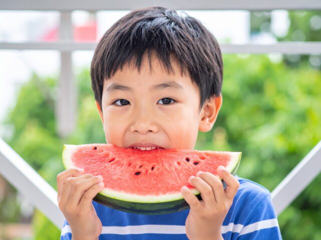 スイカにかぶりつく男子小学生