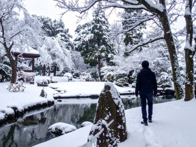 雪の日本庭園を散歩する男性