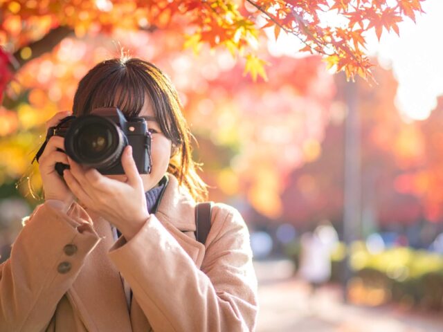 美しい紅葉を背景に一眼レフカメラを構える女性